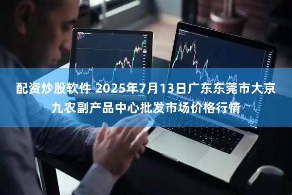 配资炒股软件 2025年7月13日广东东莞市大京九农副产品中心批发市场价格行情